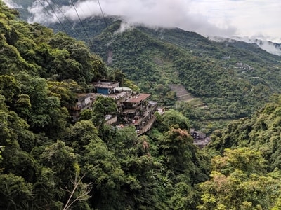 白天白云下山上绿树成荫